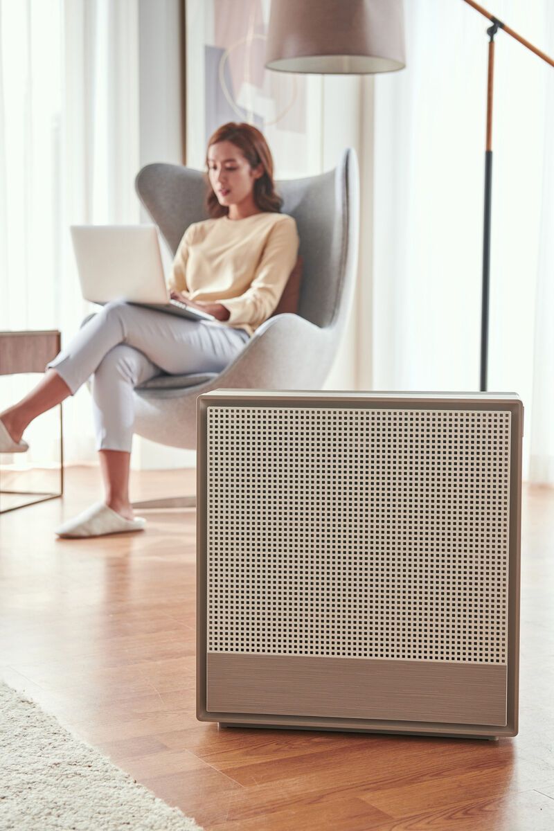 Decor-Friendly Air Purifiers