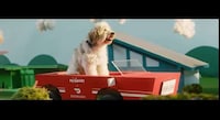 On-Demand Pet Product Deliveries Image 1