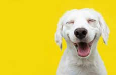 Branded Dog Appreciation Contests