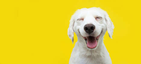 Branded Dog Appreciation Contests