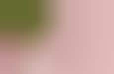 Grape Water-Powered Moisturizing Creams