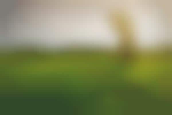 Deodorant-Branded Golf Initiatives