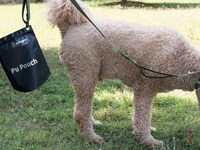 Waste-Holding Dog Leash Accessories Image 4