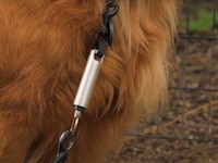 Canine Leash Training Devices Image 3