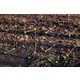Twig Structure Toy Kits Image 7