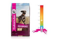 Temperature Regulation Dog Foods