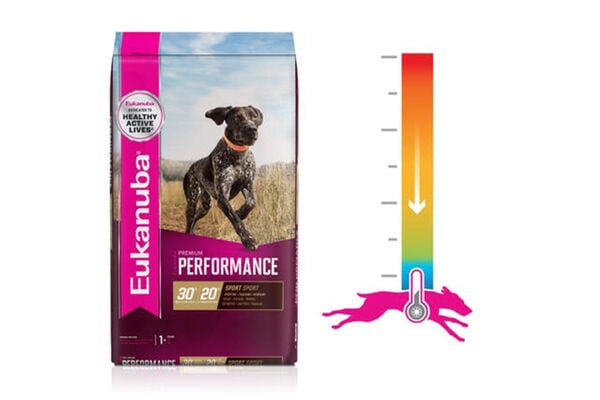 Temperature Regulation Dog Foods
