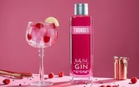 Vibrantly Hued Gin Spirits Image 1