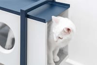 Playful Design-Conscious Pet Furniture Image 3