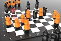 Educational Projection Chessboards