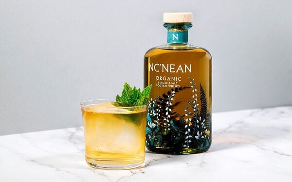 10 Organic Alcoholic Summer Refreshments