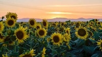 Post-Covid Tourism Campaigns Image 1