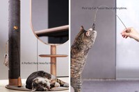 Full-Length Mirror Cat Towers Image 6