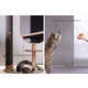 Full-Length Mirror Cat Towers Image 6