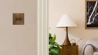 Nature-Inspired Electrical Switches Image 1