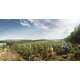 Curved Green Winery Roofs Image 2