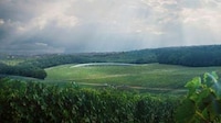 Curved Green Winery Roofs Image 3