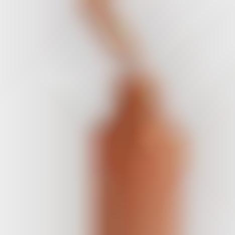 Seaweed-Infused Bronzing Drops