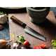 Traditional Japanese Kitchen Knives Image 2