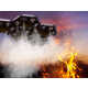 Forest Fire-Fighting Drones Image 1