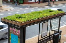 Bee-Friendly Bus Shelters Article Thubnail