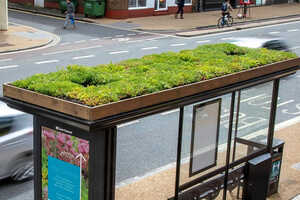 Bee-Friendly Bus Shelters Article Thubnail