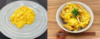 Plant-Powered Egg Substitutes