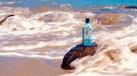 Artfully Adorned Gin Bottles Image 7