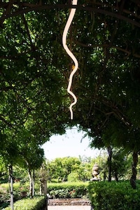 Flexible Outdoor Tube Lights Image 1