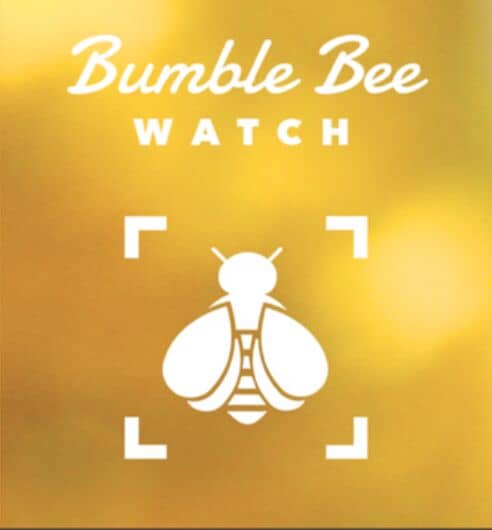 Comprehensive Bee-Tracking Apps