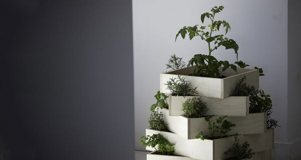 Compact Stackable Planters