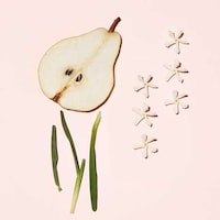 Clean Eco-Friendly Body Washes Image 3