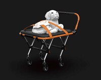 Futuristic Urban Pet Ambulances Image 5