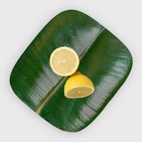 Naturalistic Leaf-Shaped Food Wraps Image 3