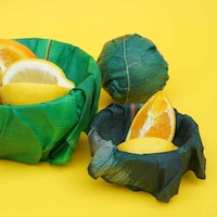 Naturalistic Leaf-Shaped Food Wraps Image 5