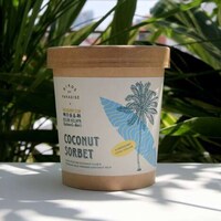 Cold-Pressed Coconut Sorbets Image 1