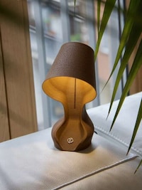 Orange Peel-Infused Lamps