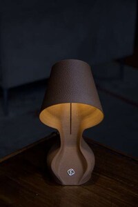 Orange Peel-Infused Lamps Image 4