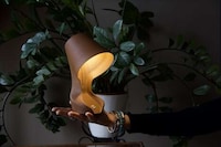 Orange Peel-Infused Lamps Image 5