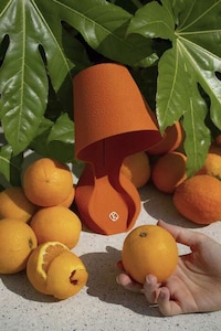 Orange Peel-Infused Lamps Image 6