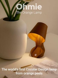 Orange Peel-Infused Lamps Image 7
