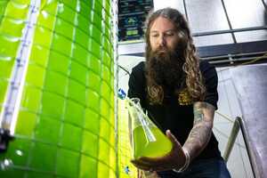 Microalgae Brewing Projects Article Thubnail