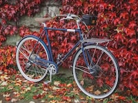 Location-Tracking E-Bike Kits Image 1