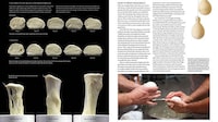 Triple-Volume Pizza Publications Image 6