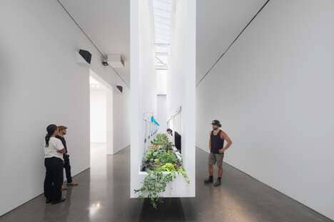 Edible Art Exhibitions