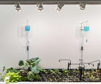 Edible Art Exhibitions Image 6