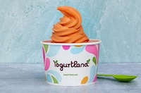 Plant-Based Sorbets