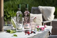 Refreshing Botanically Infused Vodkas Image 1
