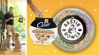 Pet-Matching Meal Bowls