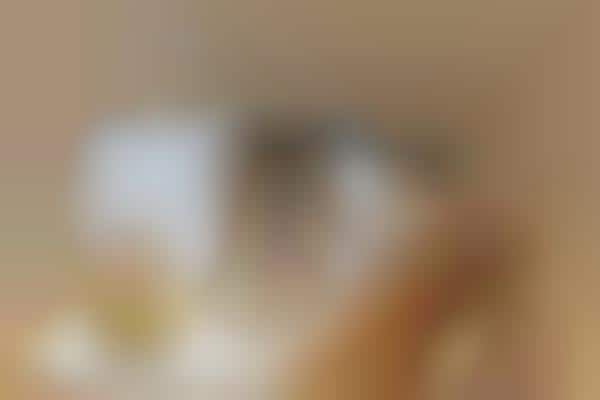 Touchless Fragrance Testers